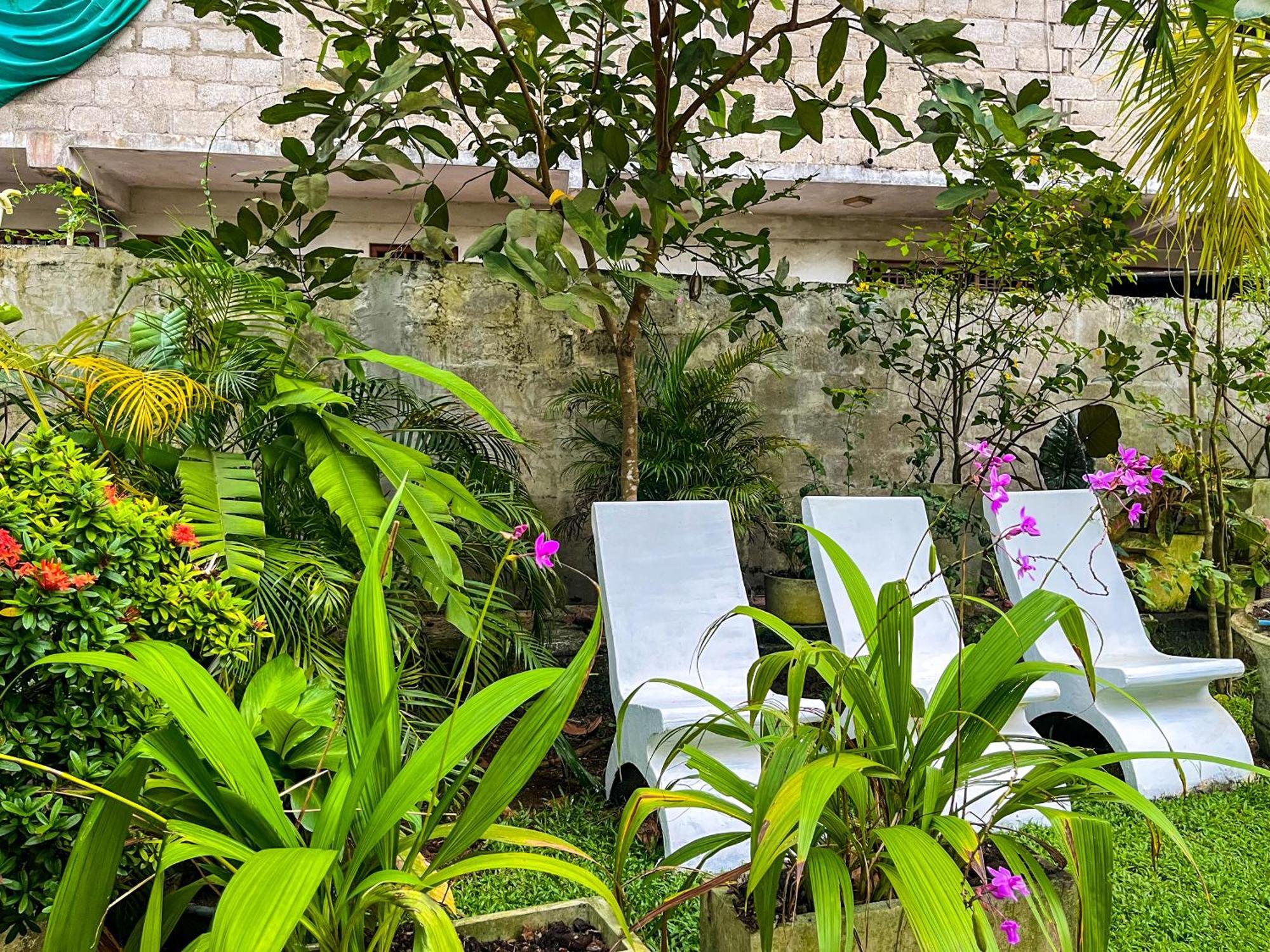 Galle Camellia Exterior photo